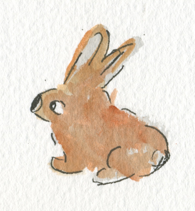 rabbit blob